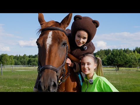 Видео: Лошади - Алиса Шоу - Жизнь на конюшне