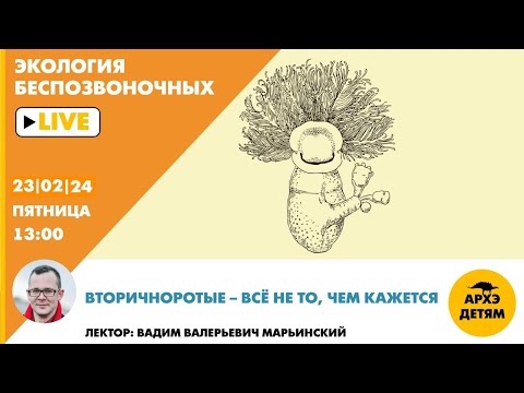 Видео: Занятие "Вторичноротые – всё не то, чем кажется" // Неурочные беспозвоночные // Вадим Марьинский