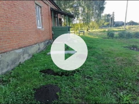 Видео: Как поймать крота Самый эффективный способ Работает на 100% (How to catch a mole)