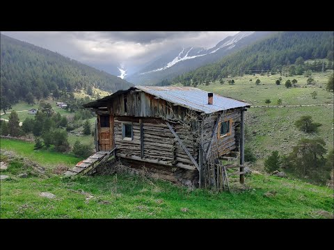 Видео: Лесная деревня, заброшенная из-за сильных штормов, здесь никто не жил 100 лет