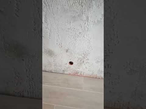 Видео: Дом Аврамов на  втория етаж.. Преди и след това.. 