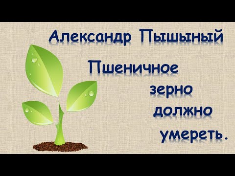 Видео: Александр Пышный - Пшеничное зерно должно умереть.