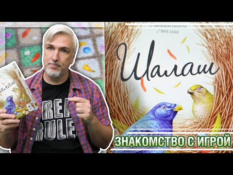 Видео: Знакомство с настольной игрой «ШАЛАШ»