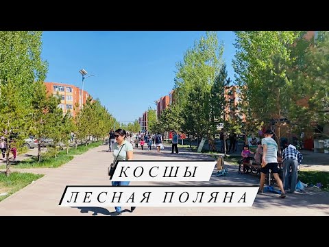 Видео: Посёлок Косшы | 10 минут езды от Астаны | Лесная Поляна, Село Косшы. Kazakhstan 2021