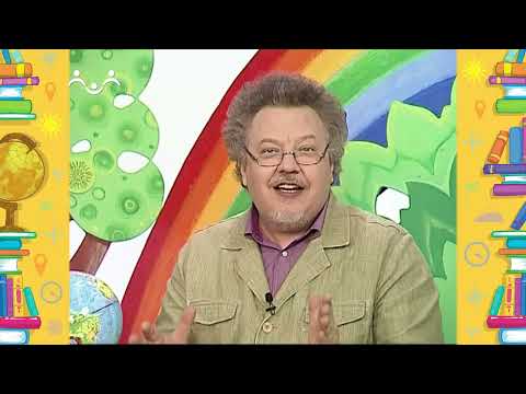 Видео: Вечер в Шишкином Лесу. География. Германия