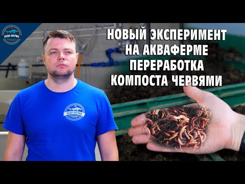 Видео: Черви и Вермикомпост из осетровых фекалий