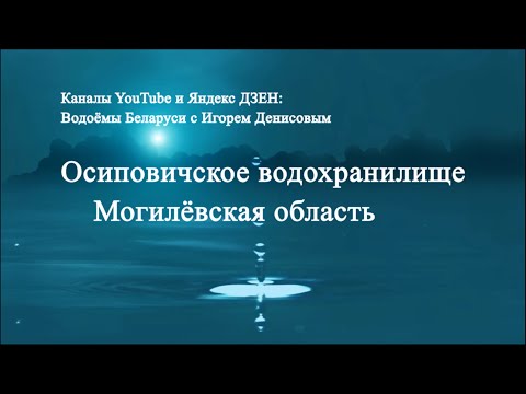 Видео: Осиповичское водохранилище Могилёвская обл.