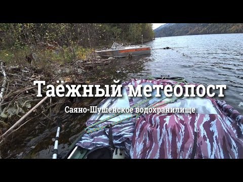 Видео: #тайга #сибирь Как живут люди в Сибирской тайге В гостях у Кости!