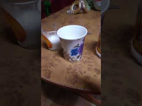 Видео: Как проверить стельность коровы?
