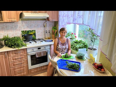 Видео: Дела петрушечные. Заготовка петрушки. Заморозка свеклы. Прикольные стаканы.
