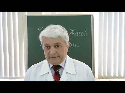 Видео: 12:00  Регуляция биосинтеза белка