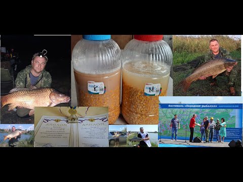 Видео: Самая лучшая насадка пьяная кукуруза "Ферментированная кукуруза"