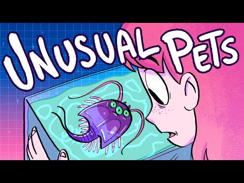 Видео: Необычные питомцы, которые были у меня в детстве