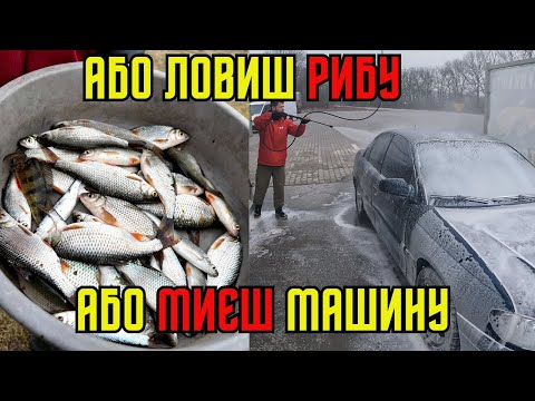Видео: Плотва на Фідер ЗИМОЮ!!! Зимовий Фідер!! Як ловити плотву зимою?