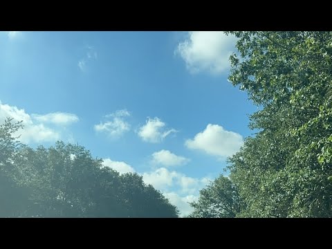 Видео: Daniella Дана Yussupbek is live! Утро🐦‍⬛🦆🌹☕️