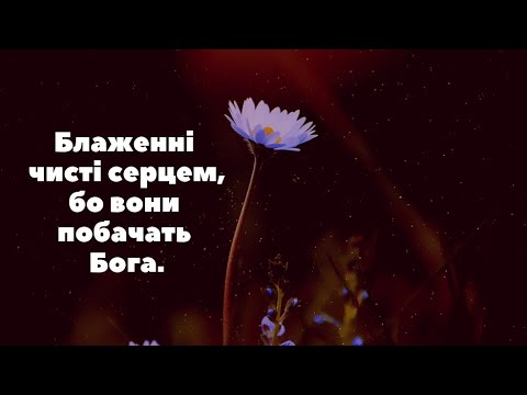 Видео: Швидко час мина... Левит