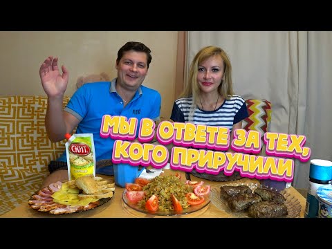 Видео: Мукбанг ЛЮЛЯ-КЕБАБ, капустка и нарезка 🥩🥦🧀 Мы в ОТВЕТЕ за тех, КОГО ПРИРУЧИЛИ 🐈🐕 (Итинг)