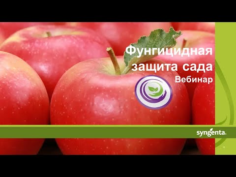 Видео: Фунгицидная защита сада. Вебинар, 2019 г.
