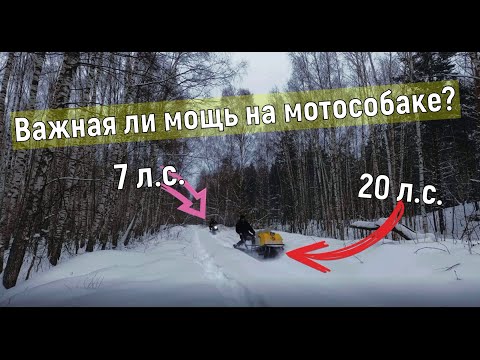 Видео: Мотобуксировщик на 20лс. - так ли хорош? \ Две мотособаки в лесу после снегопада