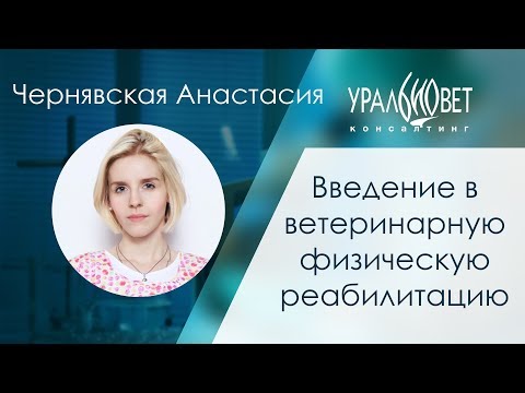 Видео: Введение в ветеринарную реабилитацию. Чернявская Анастасия #убвк_реабилитация