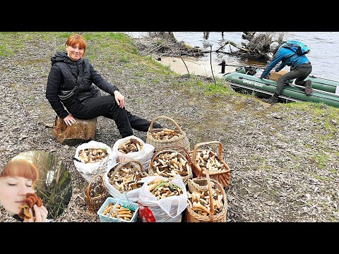 Видео: ОСТРОВ ГРИБОВ! ГРИБНОЙ ТУР "Грибалка"