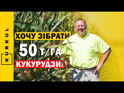 Видео: Як зібрати 40 тонн кукурудзи з гектара — секрети рекорду Девіда Хули / Куркуль