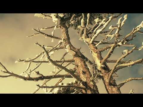 Видео: Что такое совесть? Откуда берется вера? (вопросы, на которые у фарисеев нет ответа)