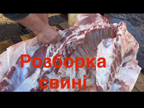 Видео: Детальний огляд розборки свині в домашніх умовах. Працює майстер!