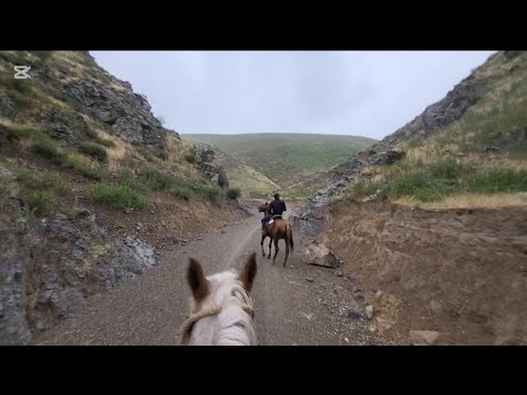 Видео: 26.05.2025-ж. Ат бастыруу