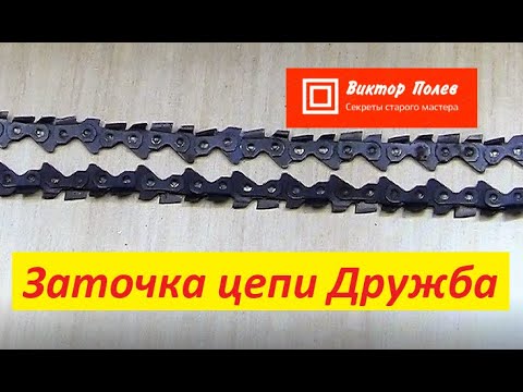 Видео: Заточка цепи бензопилы Дружба (флажковая) #ВикторПолев