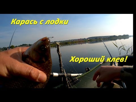 Видео: Рыбалка на карася с лодки.  Рыбалка на маховое и болонское удилища. Бешеный клев карася.