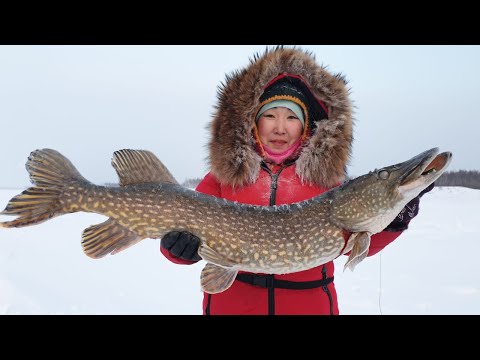 Видео: ГОСТИ КЛЕВОЙ РЫБАЛКИ!!! КАК ПОЕХАТЬ НА КЛЕВУЮ РЫБАЛКУ?!
