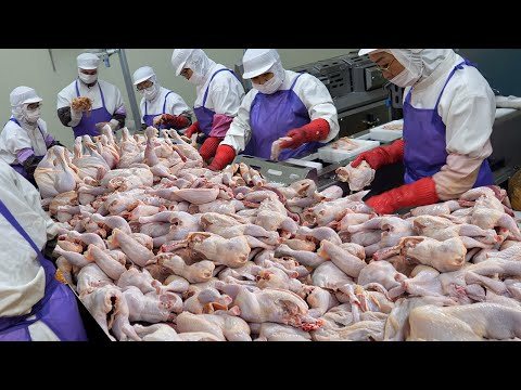 Видео: Лучшие блюда с курицей! 6 корейских рецептов, которые стоит попробовать – Корейская уличная еда