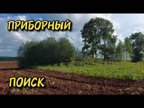 Видео: Приборный поиск на распаханном урочище с TX 850