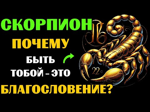 Видео: ♏🔥30 ПРИЧИН ПОЧЕМУ БЫТЬ СКОРПИОНОМ - ЭТО БЛАГОСЛОВЕНИЕ. ✅ЗНАЧЕНИЕ ЗНАКА ЗОДИАКА СКОРПИОН. #скорпион