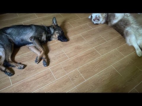 Видео: Вторник в провинции
