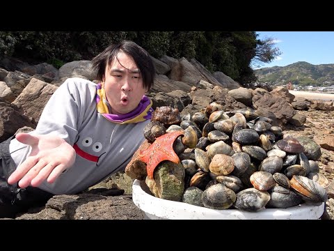 Видео: Неожиданно нашли невероятные сокровища, копая моллюсков на необитаемом острове