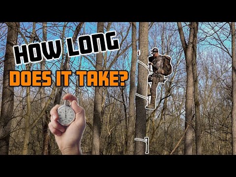 Видео: Сколько времени занимает установка седла?