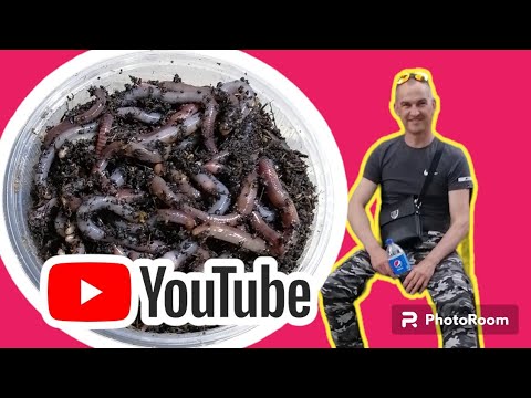 Видео: Продолжения 50 литров торфа 5 кг дэндры, просейка подведения итогов 👌👌👌