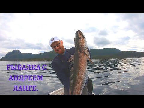 Видео: РЫБАЛКА С lange_fishing. В ПОИСКАХ ХЕКА И МОЛЬВЫ. РЫБАЛКА В НОРВЕГИИ.