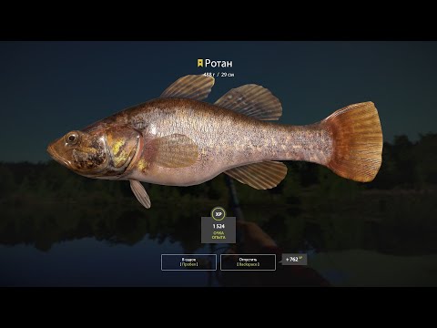 Видео: Russian Fishing 4 Клёвые места. Трофейный Ротан. Озеро Комариное. РР4