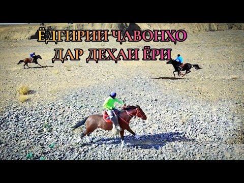 Видео: Тайёрии ҷавонҳо ба Бузкаши.