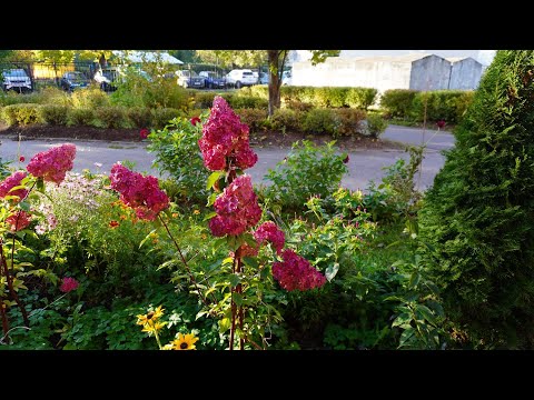 Видео: ОСЕНЬ НЕ СПЕШИТ