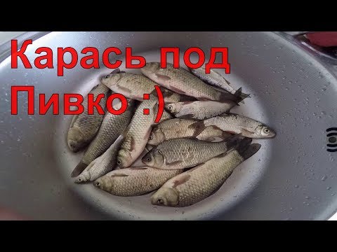 Видео: Сушоный КАРАСЬ. Как засушить карася