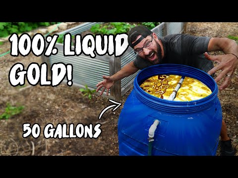 Видео: Как сделать ЖИДКОЕ ОРГАНИЧЕСКОЕ УДОБРЕНИЕ с помощью этой КОМПОСТНОЙ ЧАЙНОЙ МАШИНЫ!