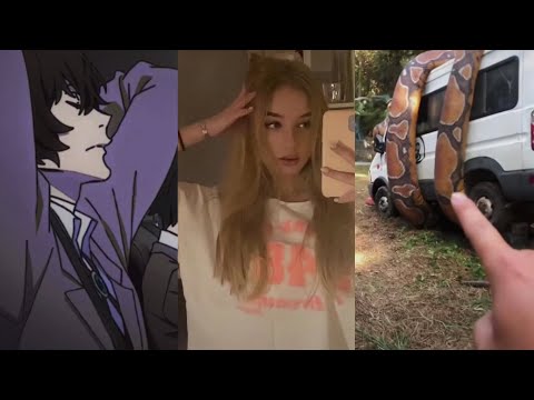 Видео: КУРСЕД СМОТРИТ ТИКТОК #49 / ZXCURSED