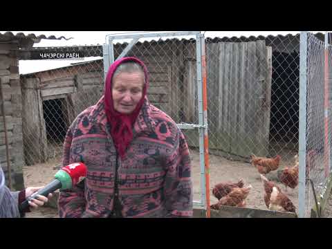 Видео: Волки нападают на деревни в Чечерском районе