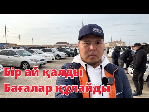 Видео: Бағалар түсуге аз қалды көлік алмай күтетұр | QAZAUTO