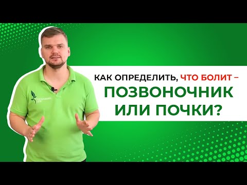 Видео: ТЫ не перепутаешь! Как определить, что болит – позвоночник или почки? Боль в пояснице что это?