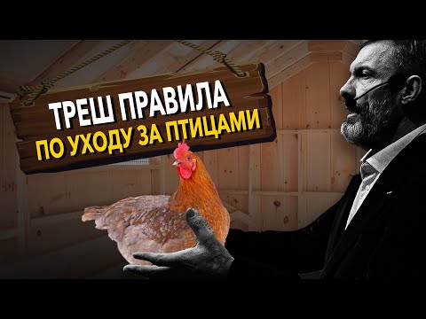 Видео: Треш-правила по уходу за птицами / Забудьте про иностранные лекарства / Кого бесплатно газифицируют